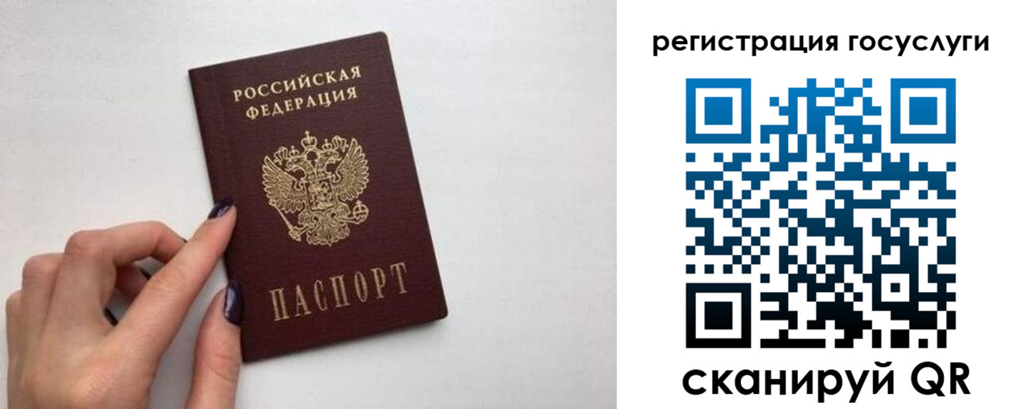 временная регистрация гарантия в Дятьково